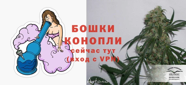 apvp Балахна