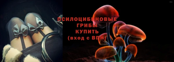 apvp Балахна