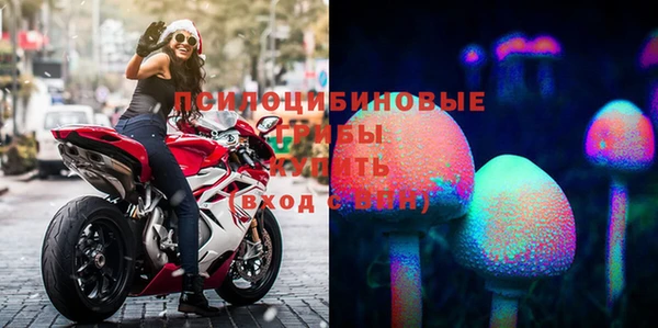 молекула духа Балабаново