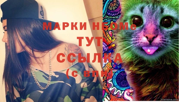 гашик Баксан