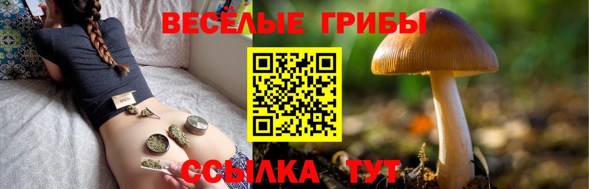 Галлюциногенные грибы GOLDEN TEACHER  Вход с VPN  Долгопрудный  магазин    Псилоцибиновые грибы Cubensis 